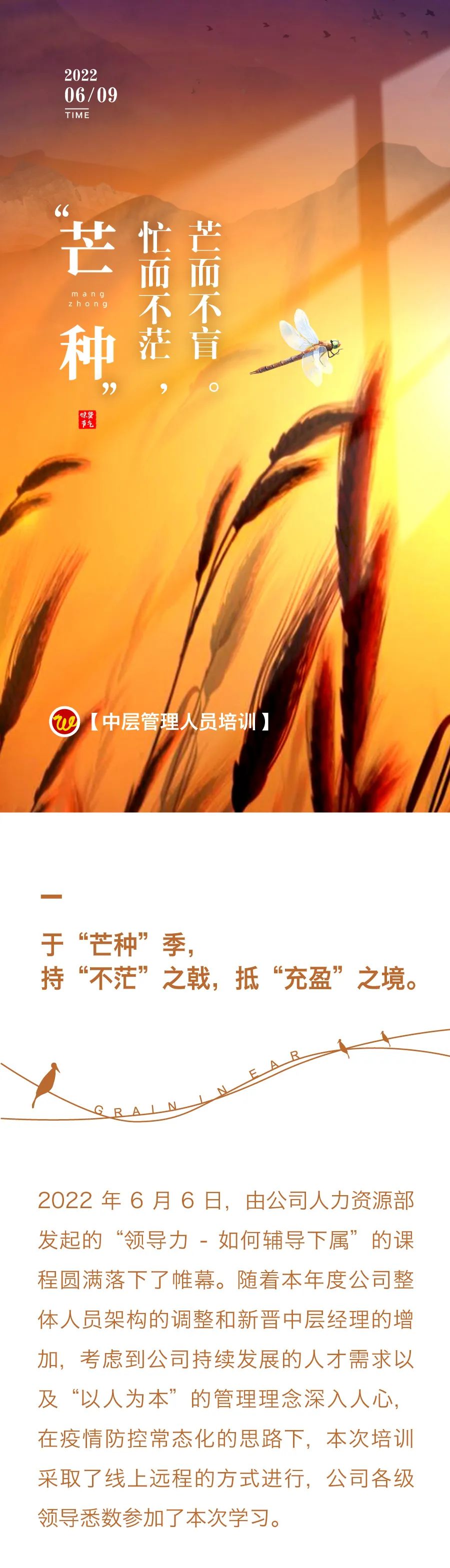 “芒種”忙而不茫，芒而不盲?！袑庸芾砣藛T培訓(xùn)1.jpg